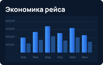 Экономика рейса